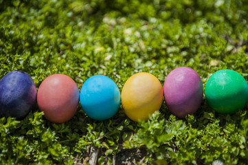 Colorful Easter eggs on a green background