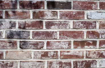 Brick Wall Background 