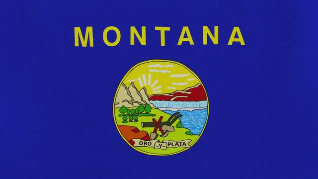 Loopable: Montana flag...Flag of state Montana waving in the wind...Seamless loop...Made from ultra high-definition original with detailed fabric texture.