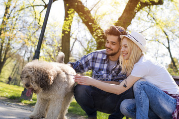 Young loving couple relaxing on the bench in park with a dog on beautiful sunny day