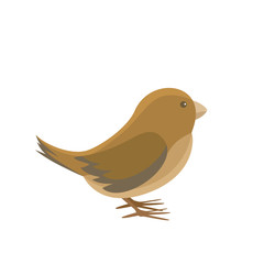 World Sparrow Day. Vector illustration of the date of sparrows. Cute sparrow card for world sparrow day.