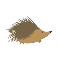 Vector illustration of cute hedgehog isolated on transparent background.