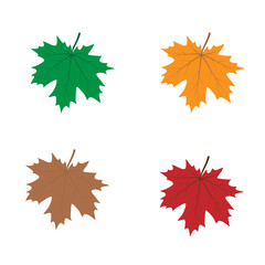Fototapeta premium A maple leaf in red, yellow, orange, and green colors.