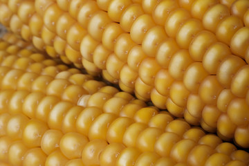 Close up shot of corn.