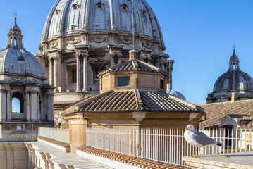 St. Peter's Basilica, Vatican City, Italy