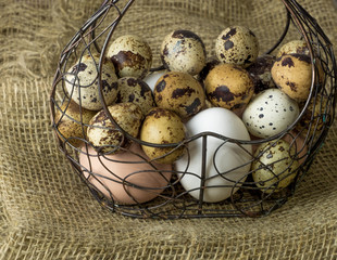 a lot of chicken eggs and quail eggs lying metal structure in the shape of a heart lying on a wooden table