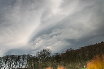 dramatic sky before thunderstorm, tree tops