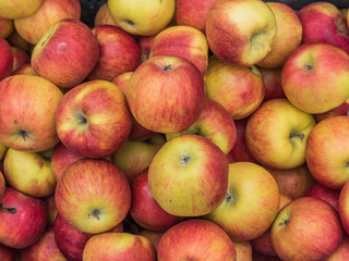 red and yellow aplles
