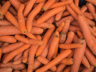Carrot in the market.
