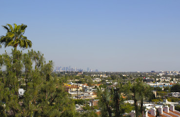 Los Angeles landscape