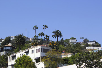 buildings in Los Angles