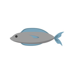 fish fresh food image vector illustration eps 10