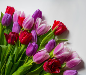 Colorful tulips lie on table. Close-up of a bouquet of tulips on a light background. Beautiful bouquet of colorful tulips. Macro shot. Spring time, Happy Mothers Day