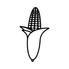 corn grain cereal outline vector illustration eps 10