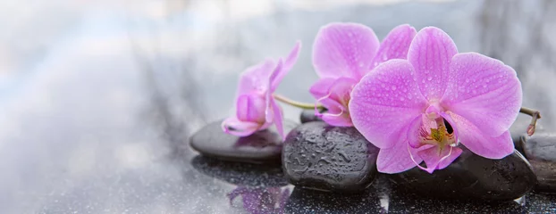 Foto auf Acrylglas Rosa Orchidee und Basaltsteine auf schwarzem Hintergrund. © Swetlana Wall