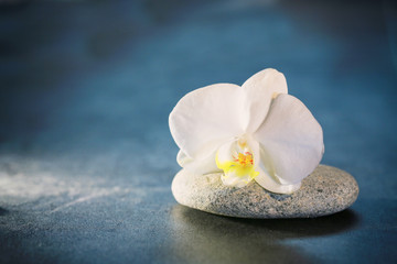 Fototapeta na wymiar spa,galet et fleur d'orchidée sur fond noir