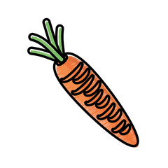 carrot vegetable healthy nutrition vector illustration eps 10