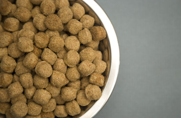 Dry Dog Food in a Silver Bowl