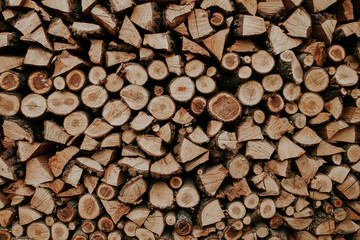 Woodpile of cut trees in the lumberyard. Background and texture with space for text or image. Fire wood prepared for winter. 