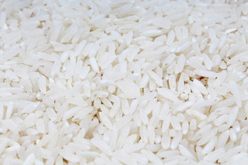 Rice raw uncooked.