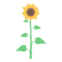 Vector cartoon sunflower
