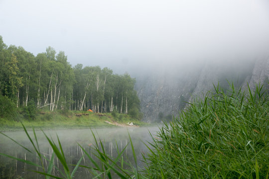 Foggy forrest river by the woods