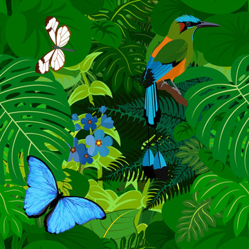Seamless vector tropical rainforest Jungle background with motmot and butterflies