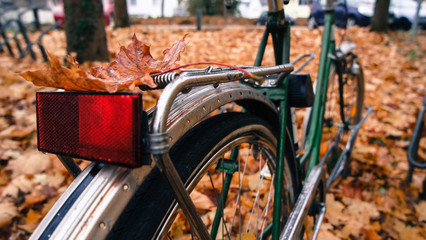 Bike Back Light