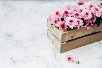 Summer flowers in wooden box 