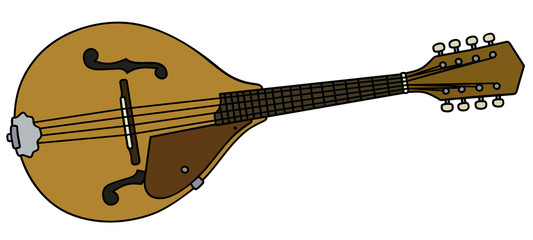 Classic country mandolin - 144138266