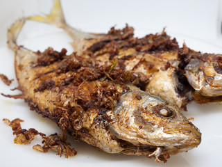 (Close up) Mackerel fish fry in a plate.