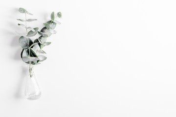 spring with morden herbal mockup on white background top view