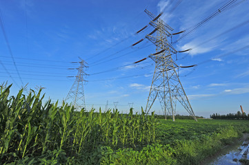 pylon
