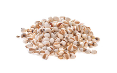 Millet on a white background