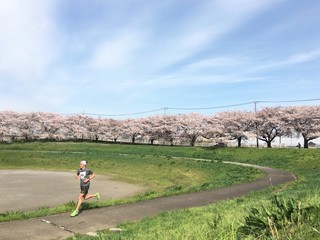 Man running in park in spring with cherry blossoms on trees