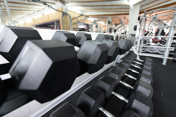 Modern Gym Interior With Equipment