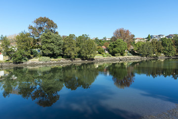 Fototapeta na wymiar River reflections Cooks River sydney copyspace.