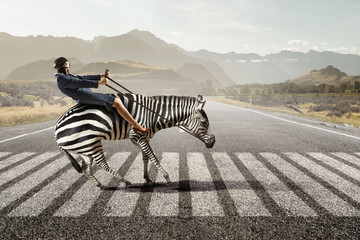 Businesswoman ride zebra . Mixed media - obrazy, fototapety, plakaty