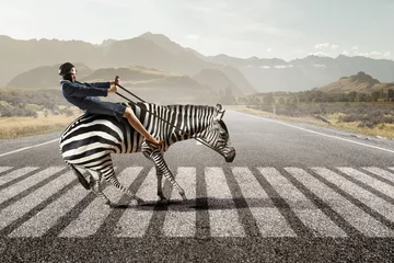 Geschäftsfrau reitet Zebra. Gemischte Medien © Sergey Nivens