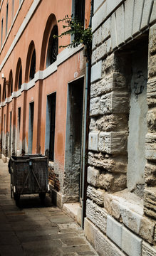 A Day in Vience