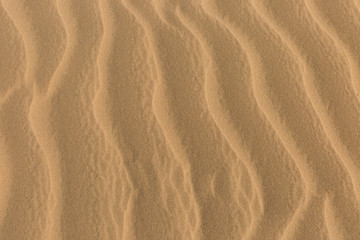 Fototapeta na wymiar Sand Dünen Textur Hintergrund