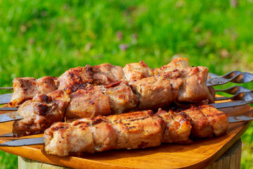 Grilled meats, hot pieces on a clay dish, selective focus