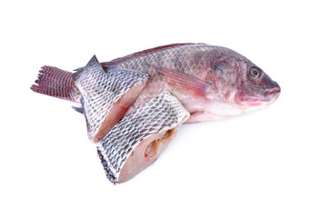 whole and portion cut fresh Nile Tilapia fish on white background