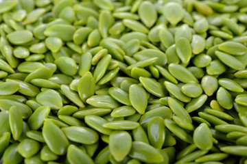 white popinac seeds as a background