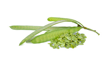 branch of white popinac pods with stem and seeds on white background