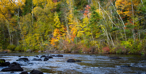 River in Autumn