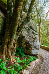 The park is near the castle of the Moors. Sintra. Portugal