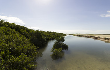 Obraz premium Guamare, Salinas, Manges - Natal, Brazil