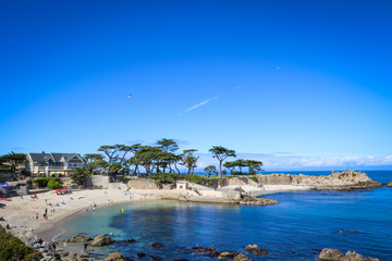 Nature: Pacific Grove