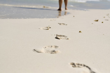 Woman's feet walking on sandy beach